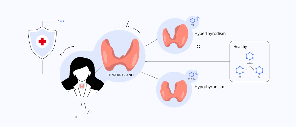 Unveiling the Connection Between Butterfly (Thyroid) Gland and our Heart